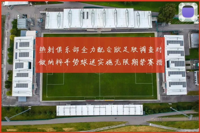 热刺俱乐部全力配合欧足联调查对做纳粹手势球迷实施无限期禁赛措施