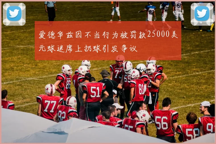爱德华兹因不当行为被罚款25000美元球迷席上扔球引发争议